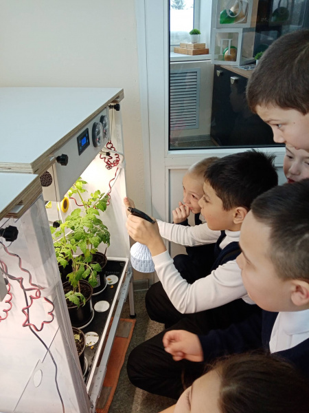 Эко-лаборатория в Новояхакасинской сельской библиотеке